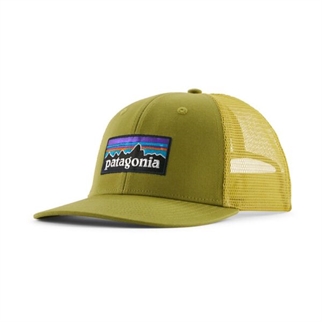 Patagonia P-6 Logo Trucker Hat Grace Green